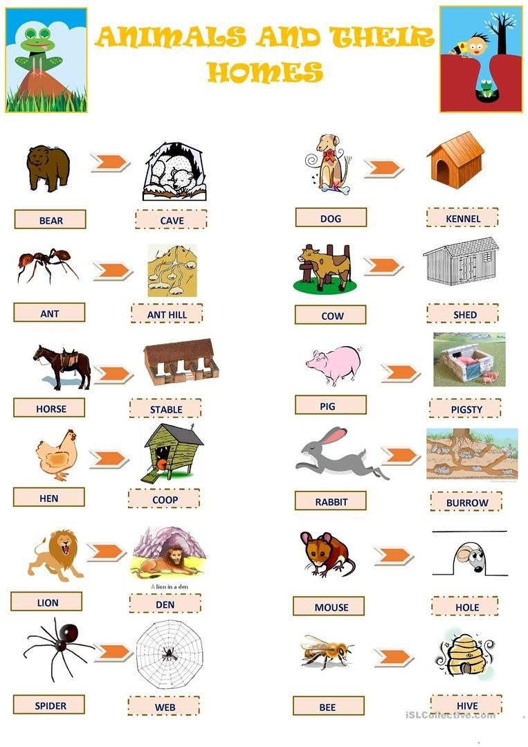 Free Printable Worksheets Animal Habitats Free Printable