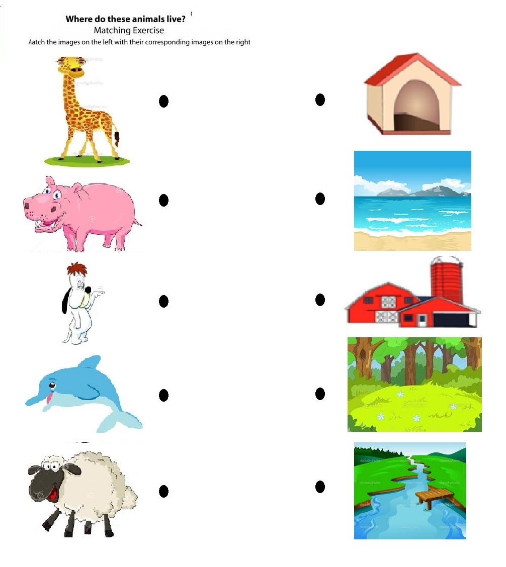 free printable pictures of animals and their habitats