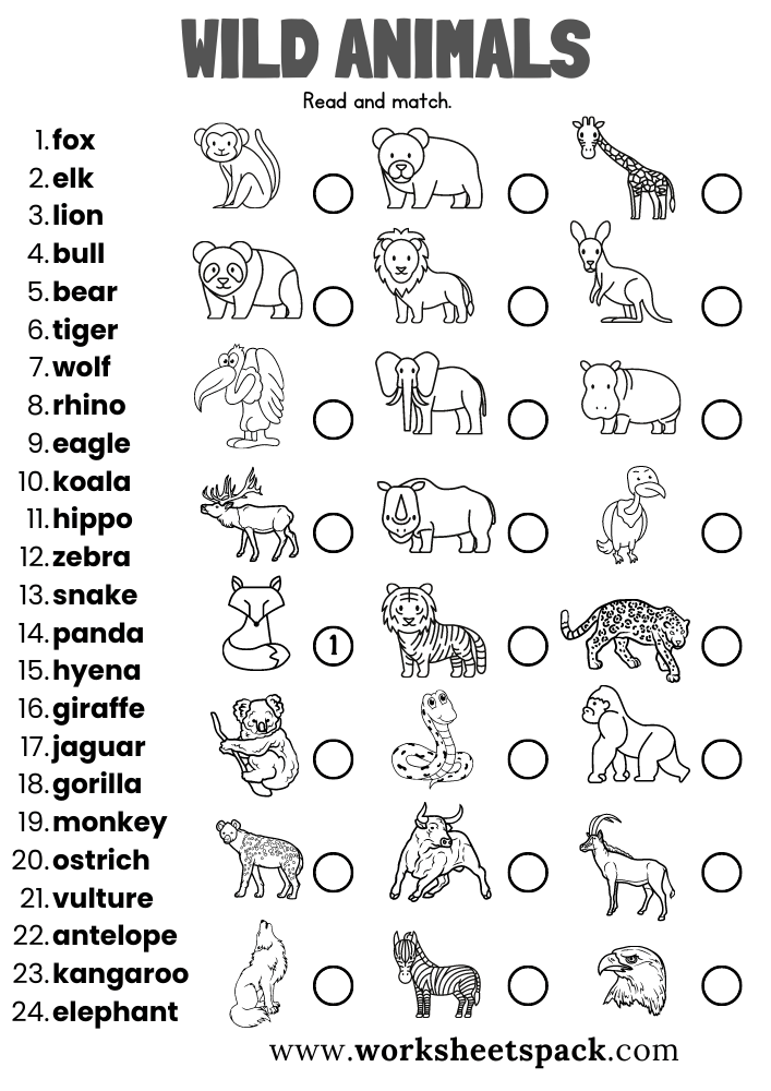 pictures of animals pdf