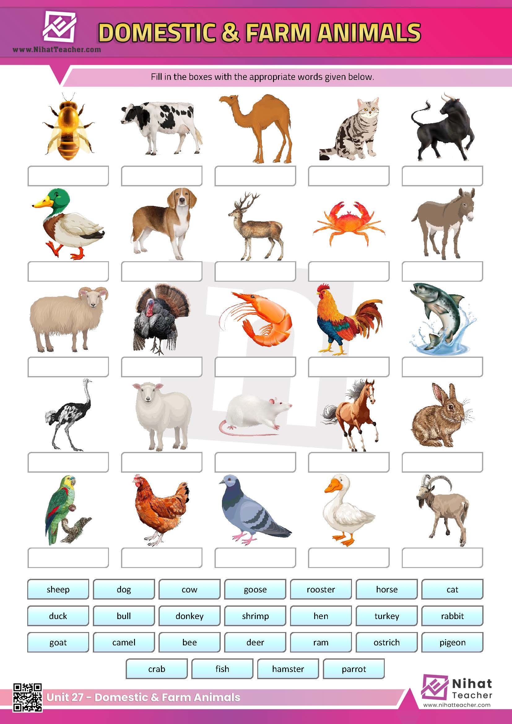 Free Printable Worksheets Animals Pdf Download Free Printable 