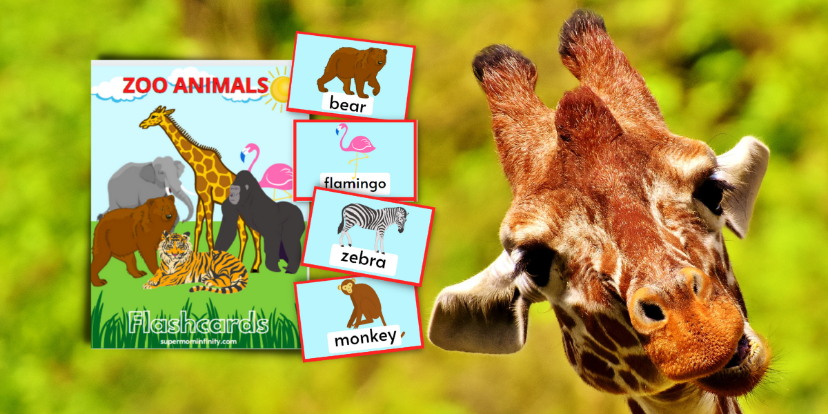 Free Zoo Animal Printable Flashcards For Kids SuperMomInfinity