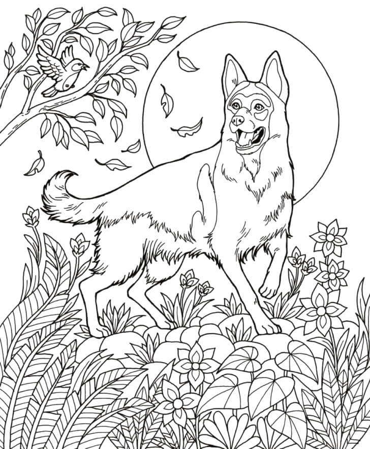 German Shepherd 7 Coloring Page Free Printable Coloring Pages For Kids