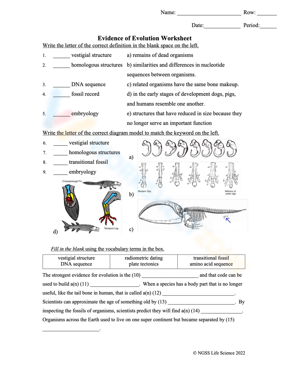 Grade 8 Evidence Of Evolution Worksheets 2024 Worksheets Library