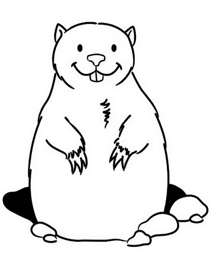 Groundhog Coloring Pages Free Printable PDF 