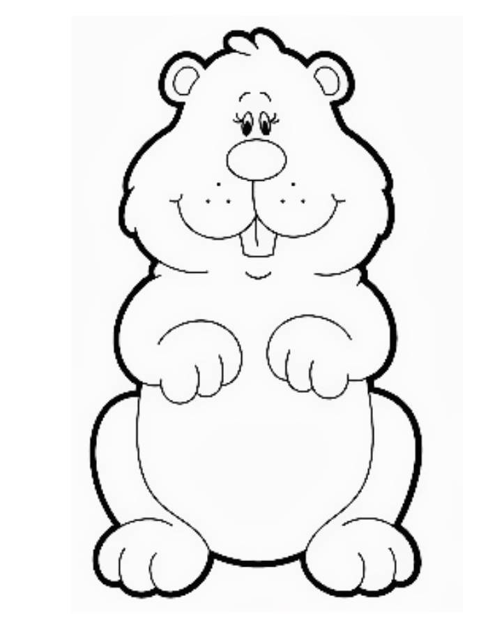 Groundhog Coloring Pages Free Printable PDF