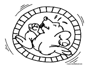 Hamster Coloring Pages