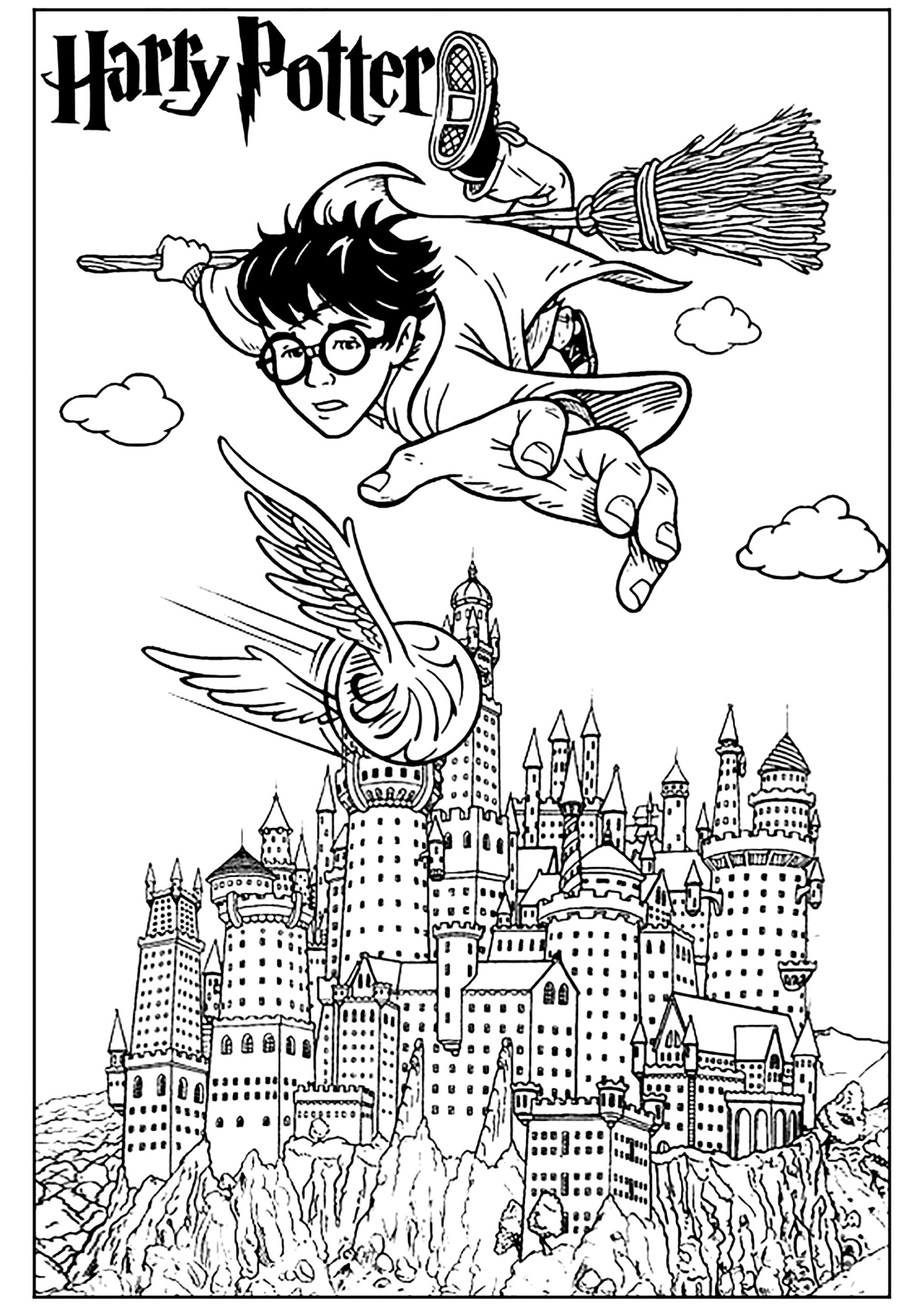 Harry Flies Over Hogwarts Trying To Catch The Golden Vid Harry 