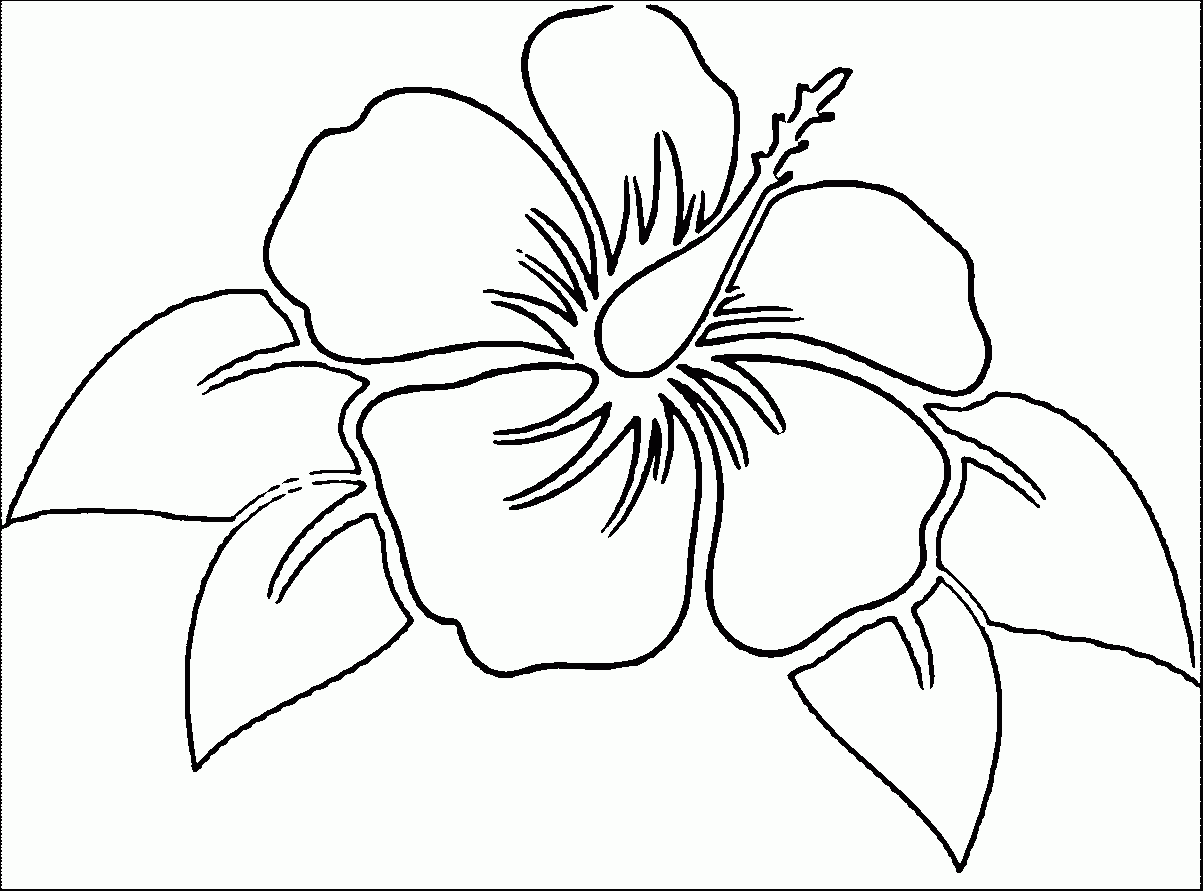 Hibiscus Flower Coloring Page Coloring Home