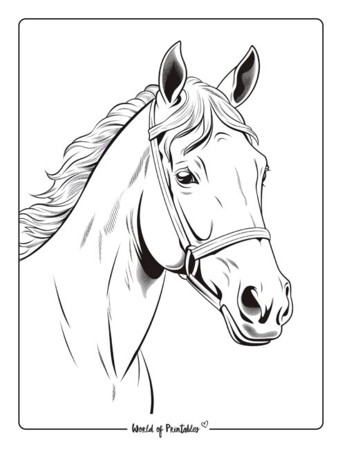 Horse Head Coloring Pictures To Print Infoupdate