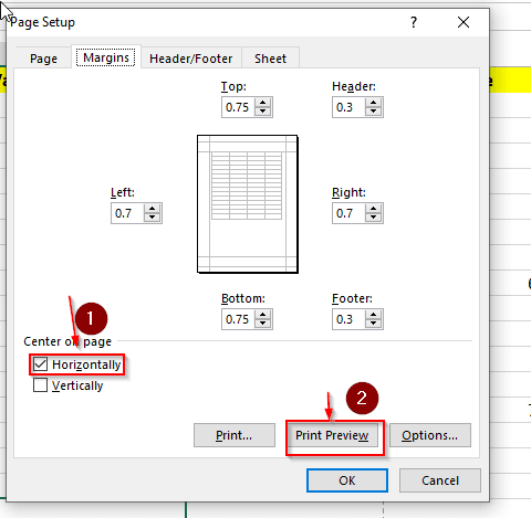 How To Center Worksheets Horizontally In MS Excel OfficeBeginner