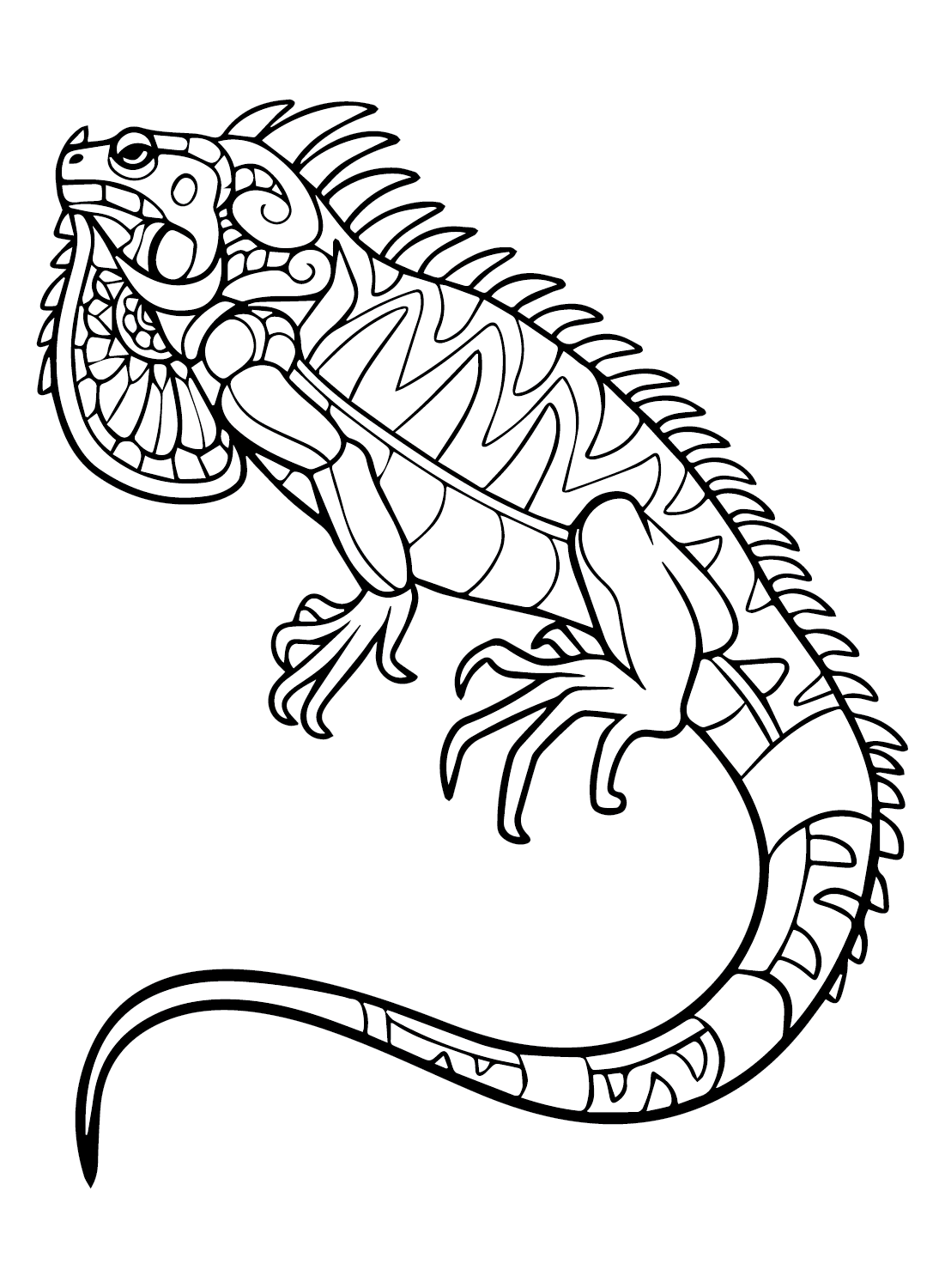Iguana Coloring Free Printable Coloring Pages