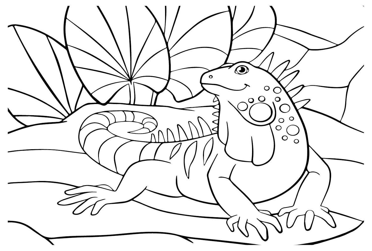 Iguana Picture To Color Free Printable Coloring Pages