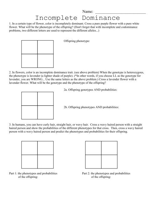 Incomplete Dominance And Codominance Worksheet Worksheets Library