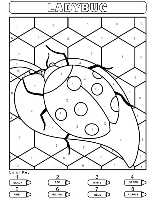 Ladybug Color By Number