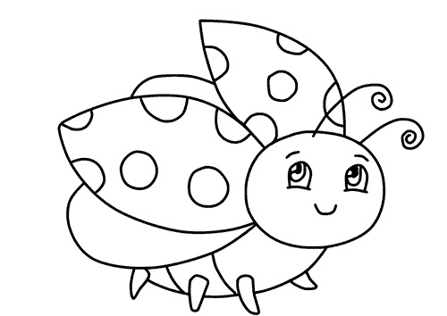 Ladybug Color Page Coloring Book 6000 Coloring Pages