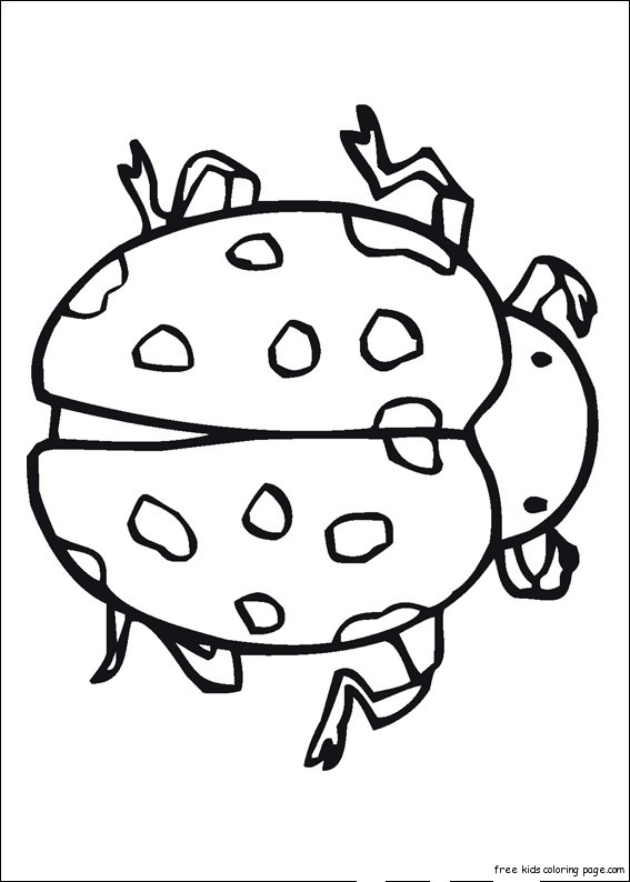 Ladybugs Insects Pictures Coloring Pages For Kids
