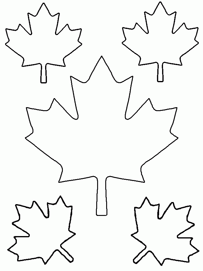 free printable maple leaf template