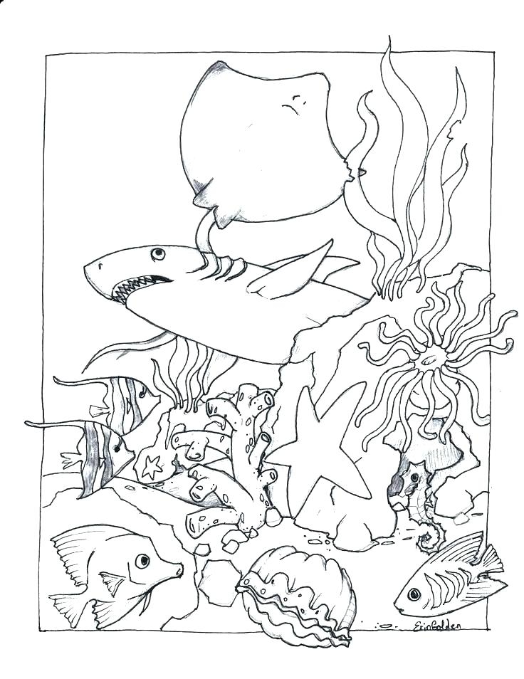Marine Life Coloring Pages At GetDrawings Free Download
