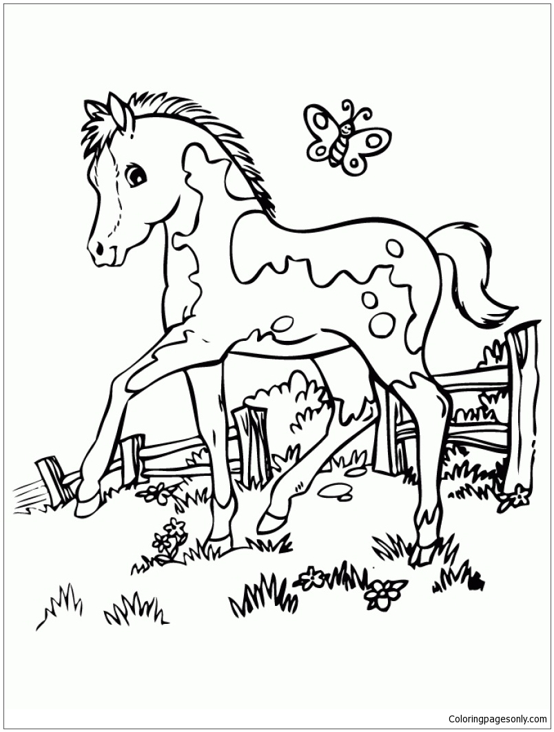 Marvelous Cute Horse Coloring Page Free Printable Coloring Pages