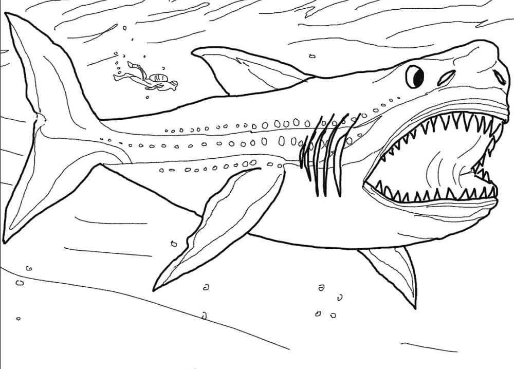 Megalodon Shark Coloring Page Free Printable Coloring Pages For Kids