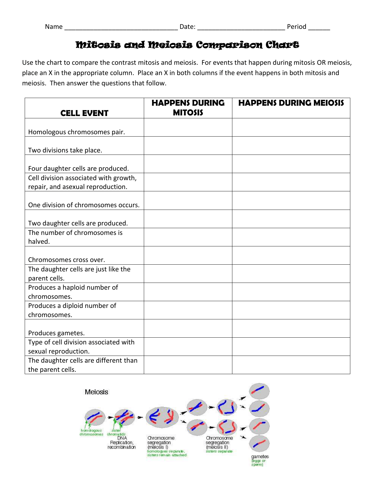 comparison of mitosis and meiosis worksheet
