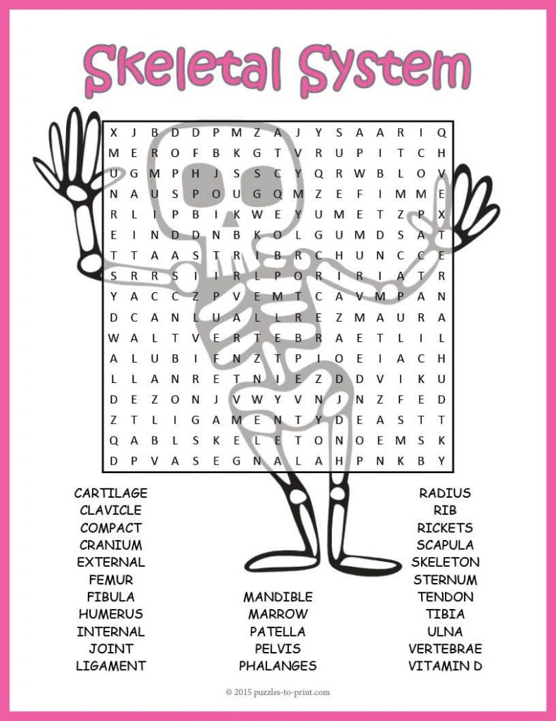anatomy skeleton word cards free printable