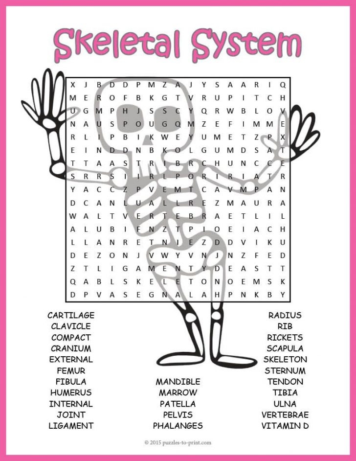 No Prep Skeletal System Activity Human Skeleton Word Word Search 