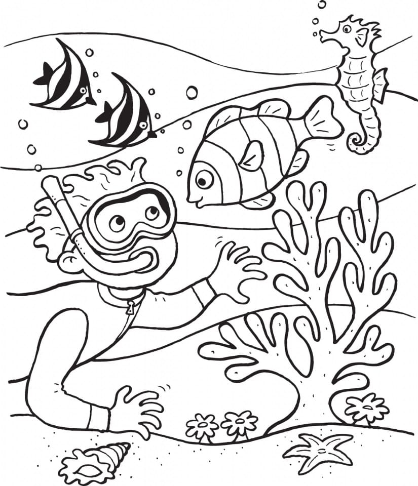 Ocean Life Coloring Pages