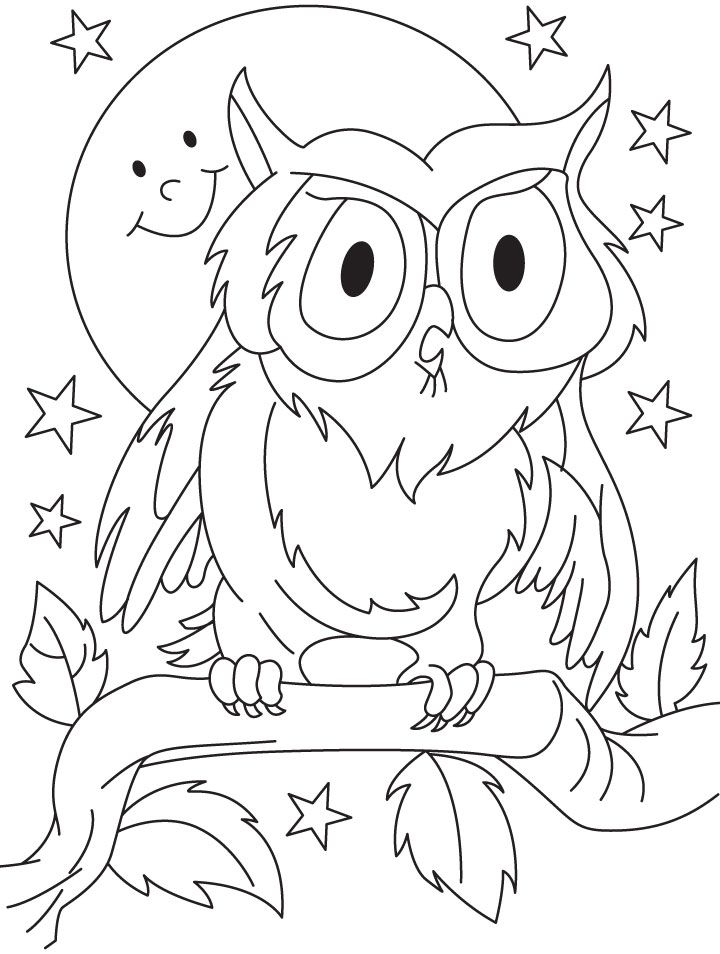 Owl Outline Drawing Coloring Home