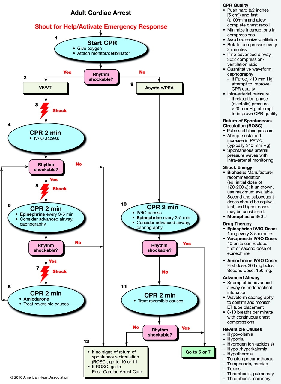Paramedic Student Central ACLS