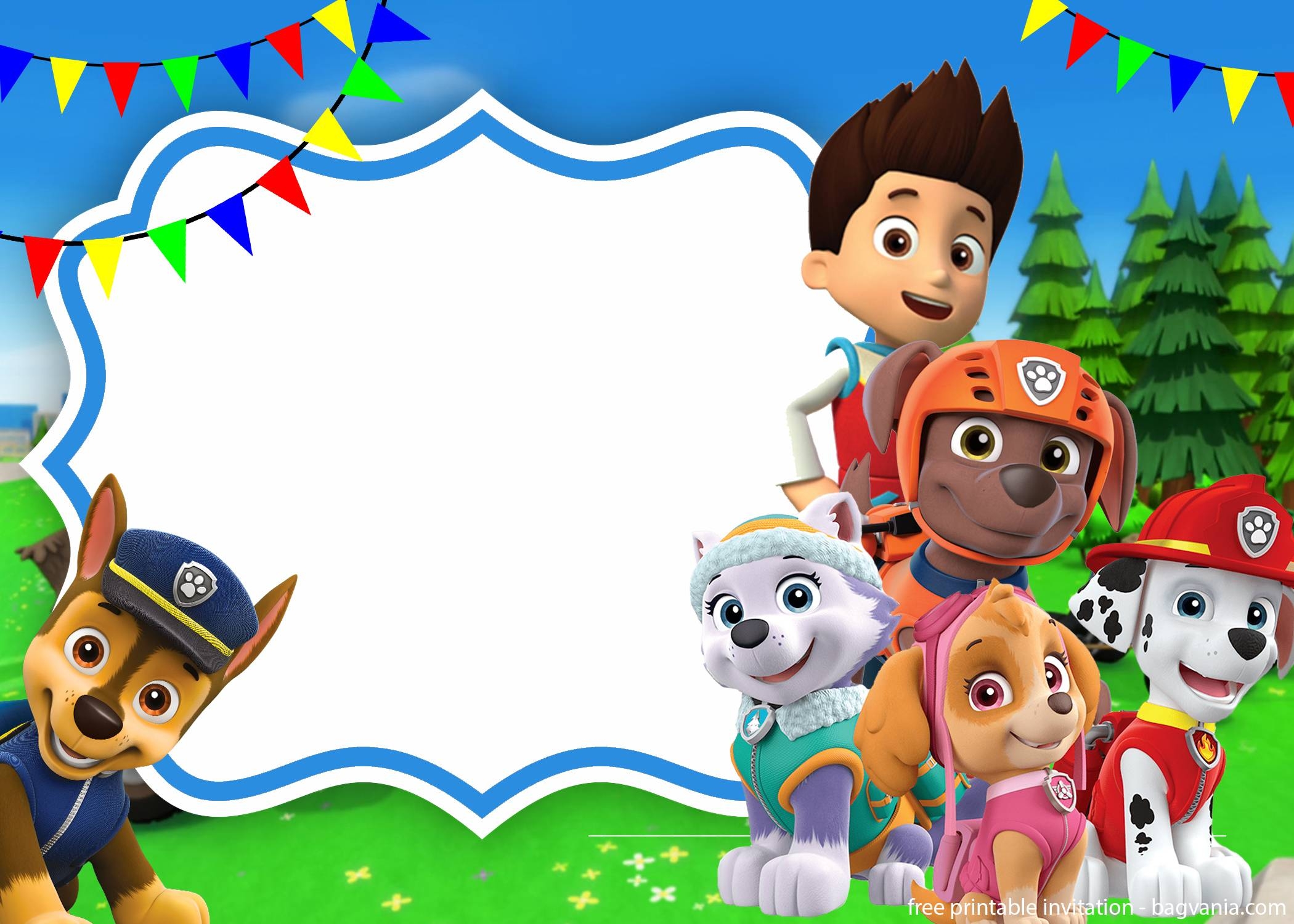 Paw Patrol Skye Invitation Template For Your Daughter s Birthday Party