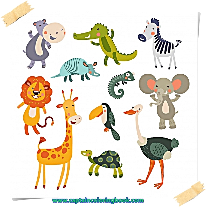 Pictures Of Animals Printable