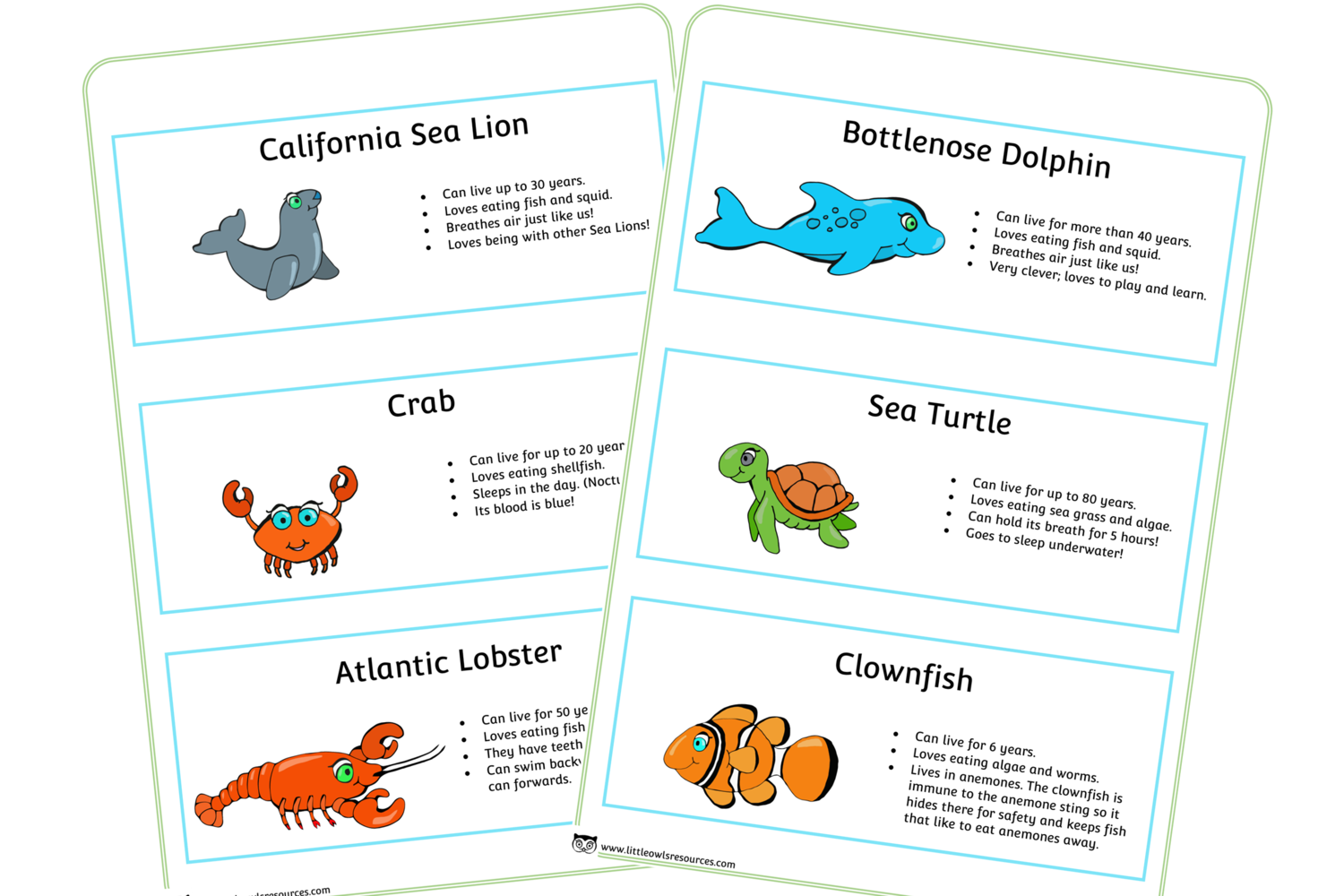 Pin On Under The Sea