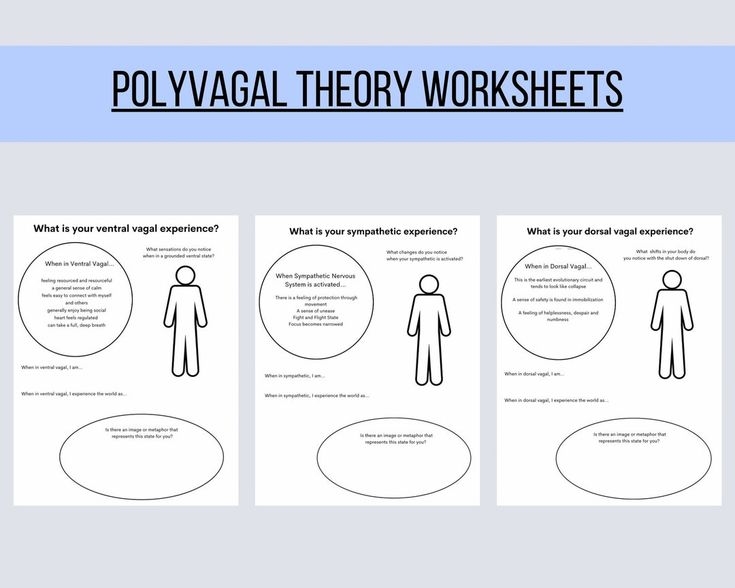 Polyvagal Theory Worksheet Nervous System States Three State