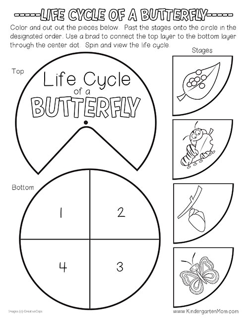butterfly worksheet preschool
