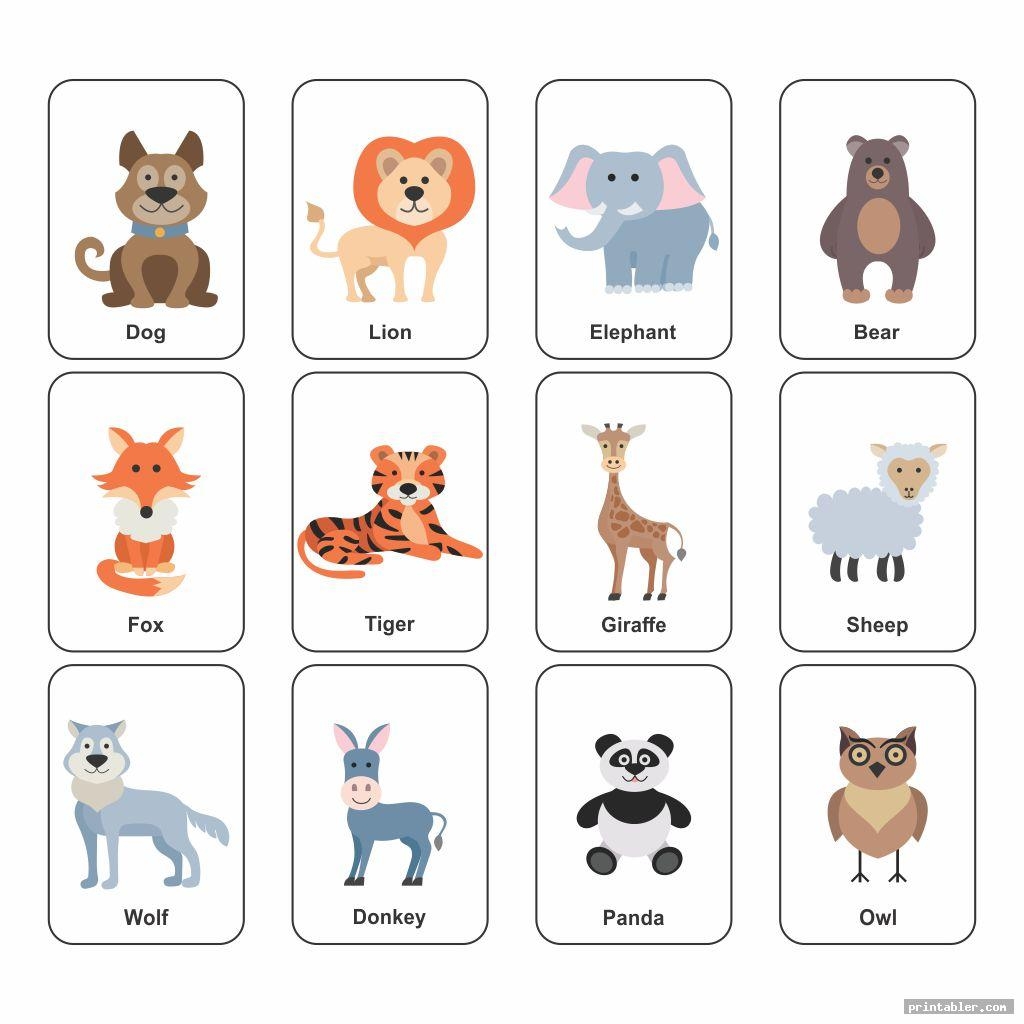 animals flash cards printable
