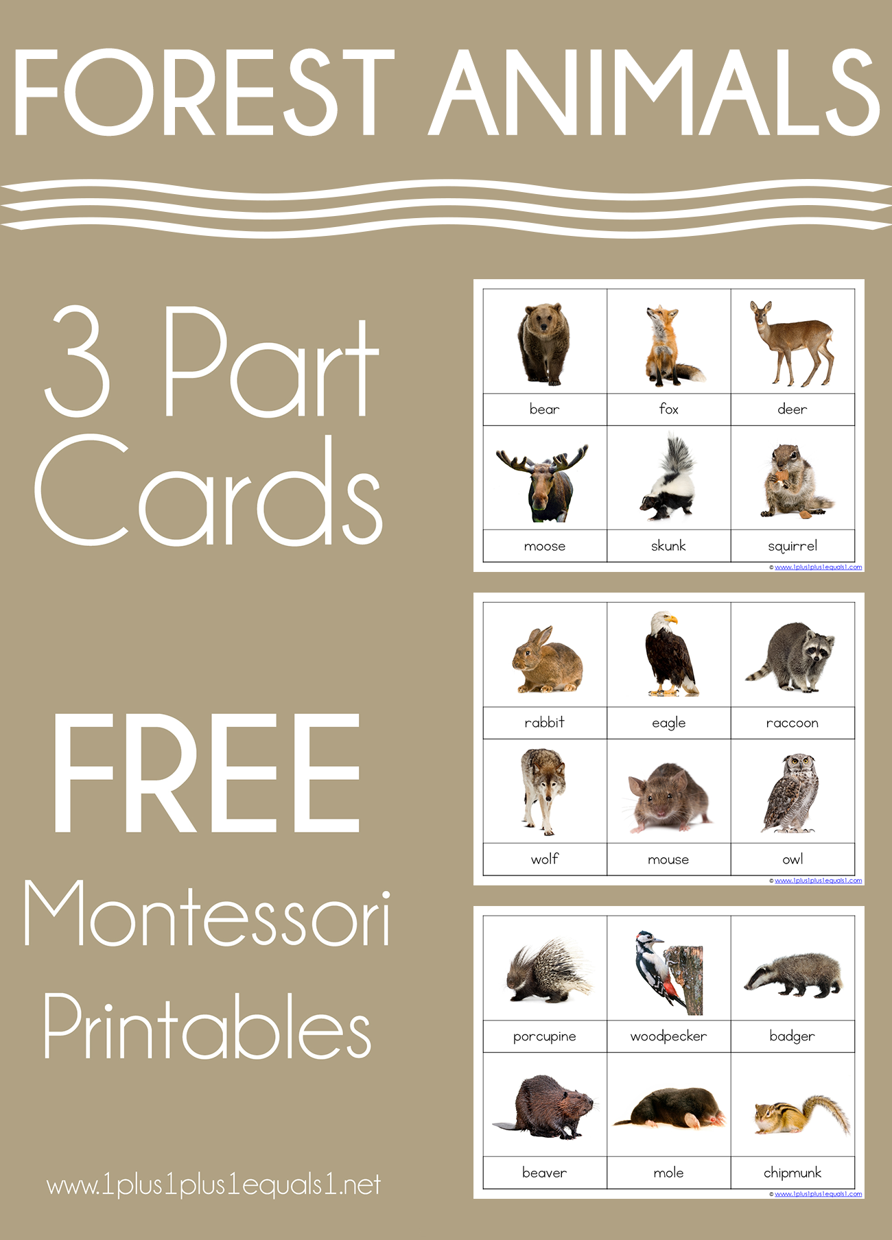 printable pictures of forest animals