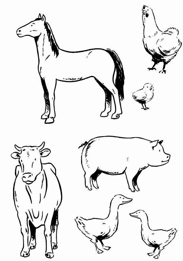 Printable Land Animals Printable Word Searches