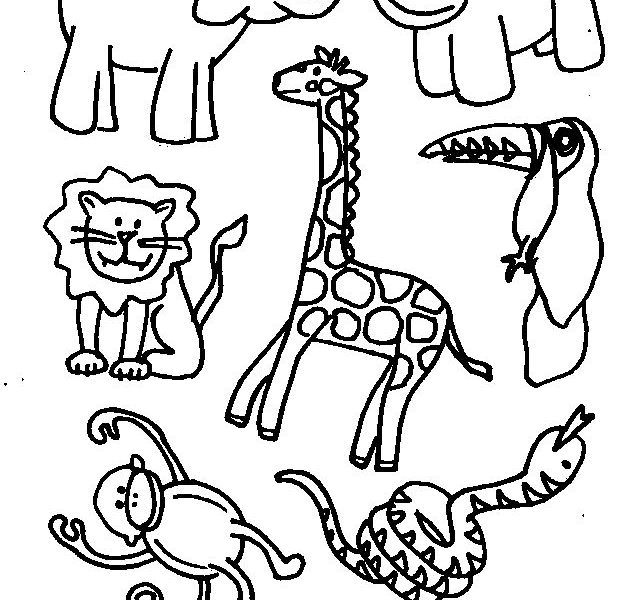 printable pictures of land animals