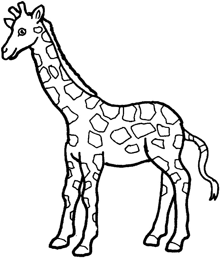 Printable Land Animals Printable Word Searches