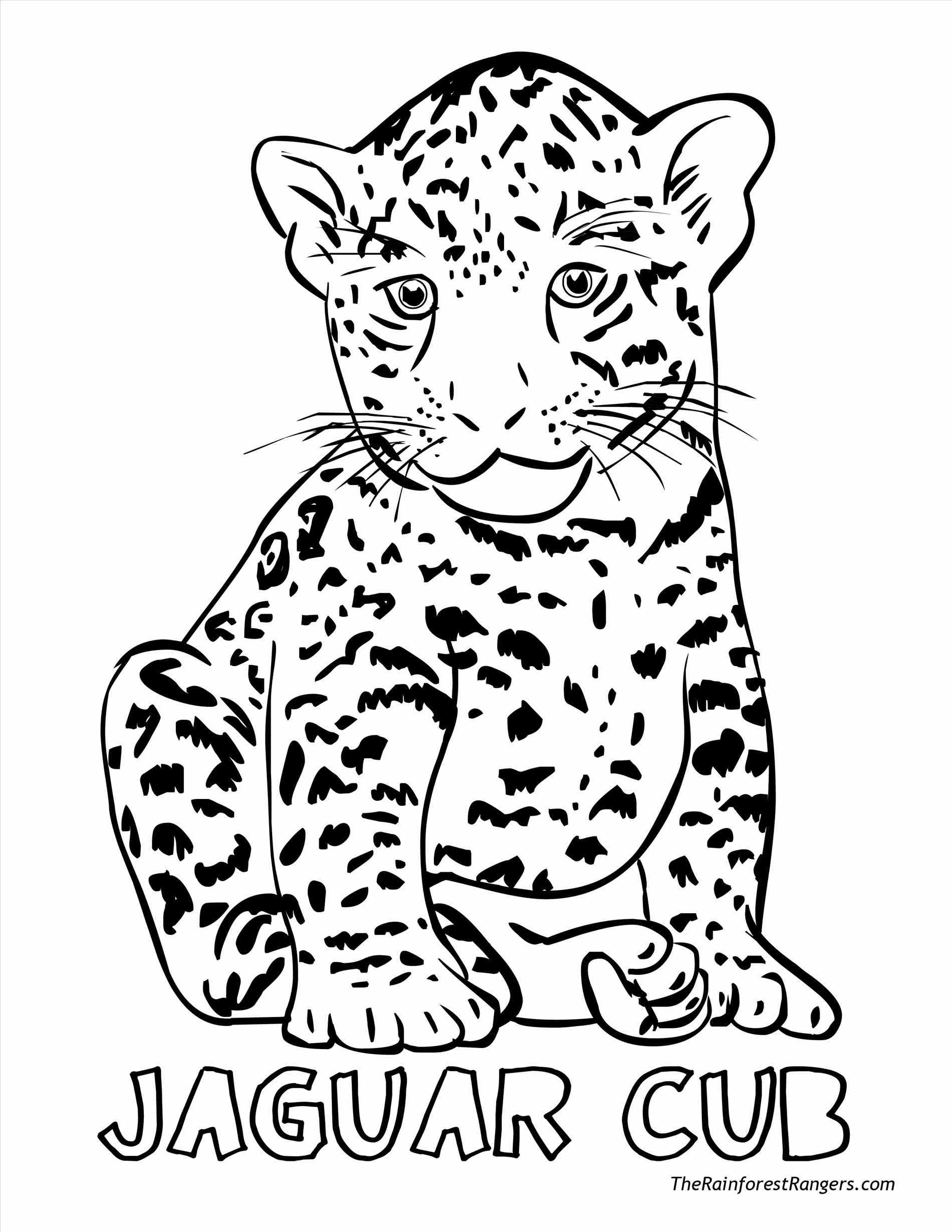 Printable Land Animals Printable Word Searches