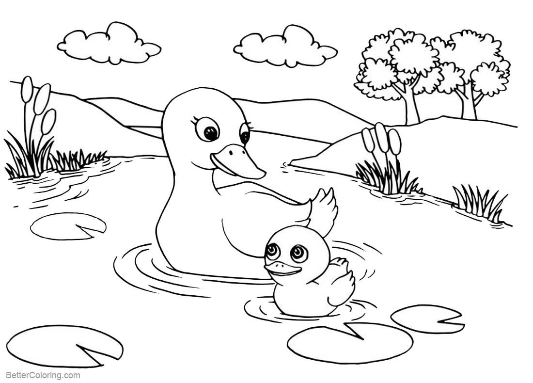 free printable pictures of pond animals