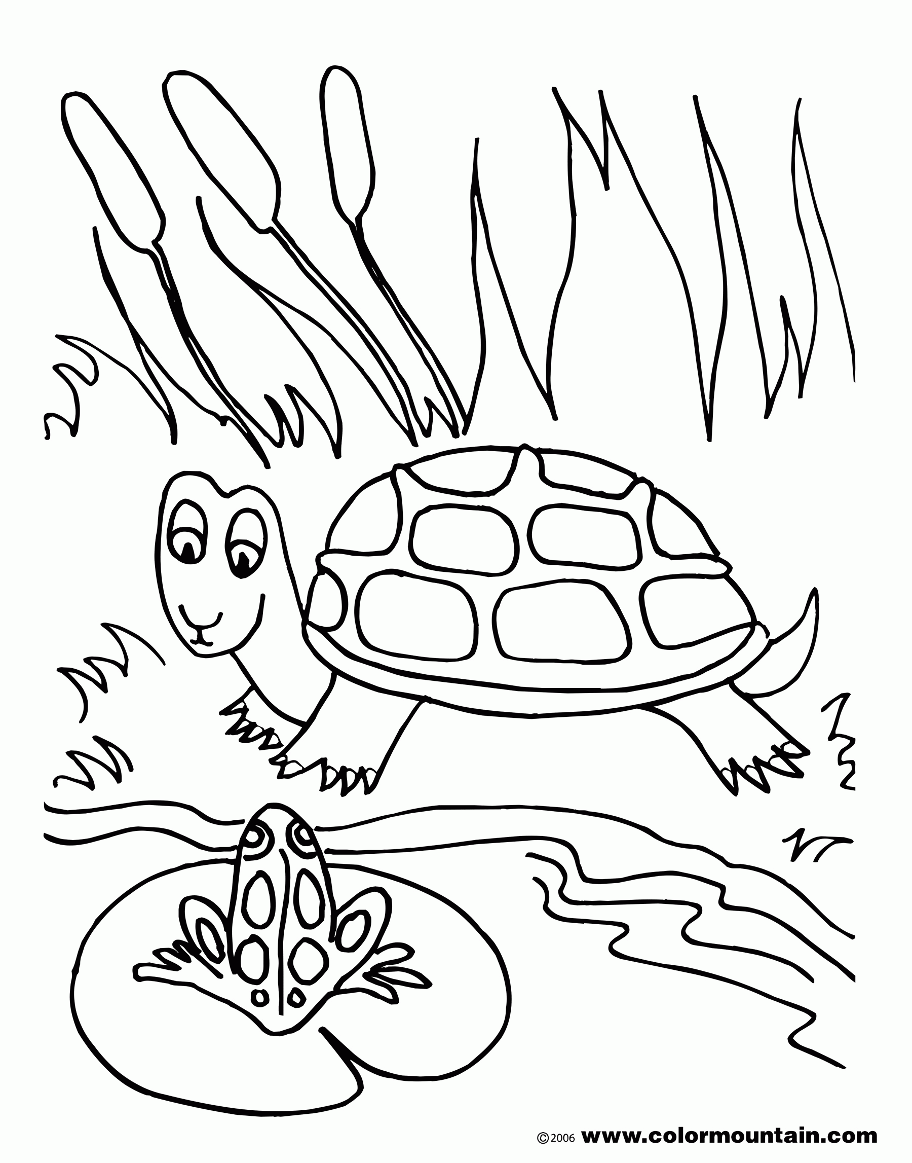 Printable Pond Animals