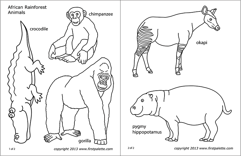 Printable Rainforest Animals Printable Calendars AT A GLANCE