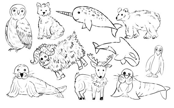 Printable Winter Animals Coloring Pages Book For Kids