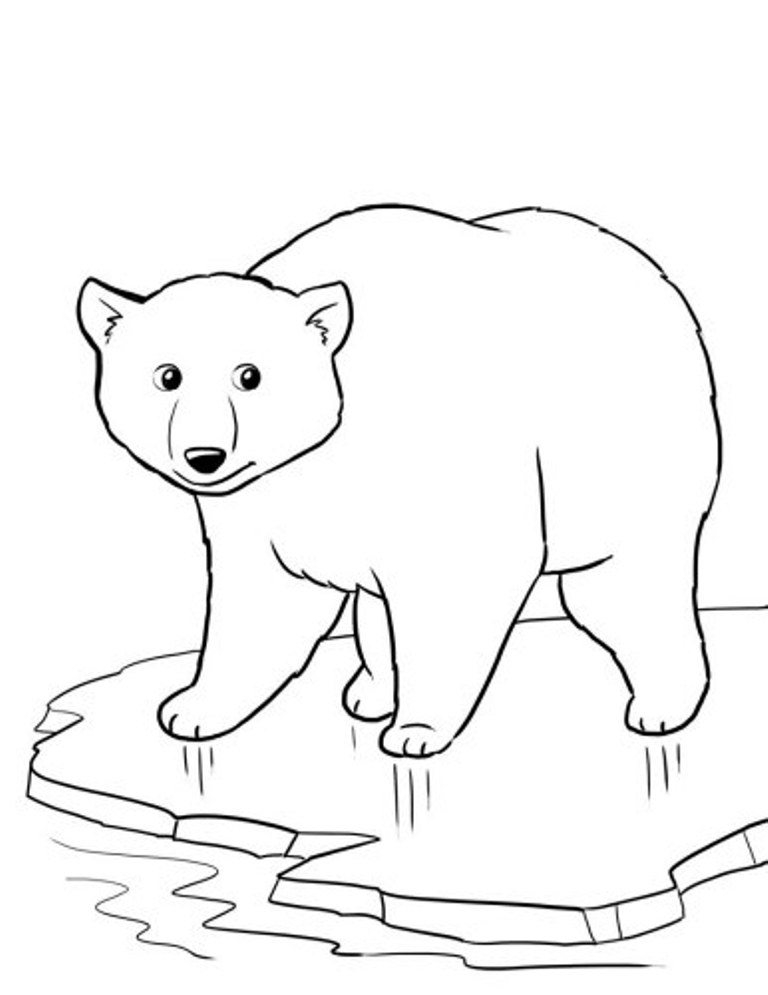 Printable Winter Animals Coloring Pages Portal Tribun