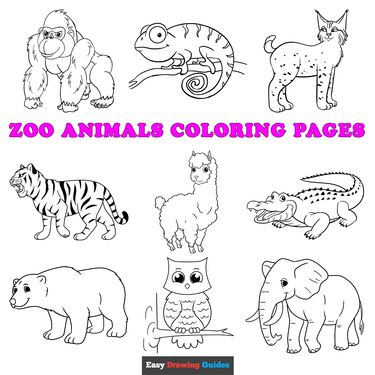 zoo animal coloring pages free printable