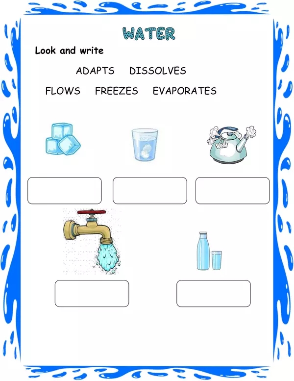 Properties Of Water Doodle Notes Science Doodle Notes Science