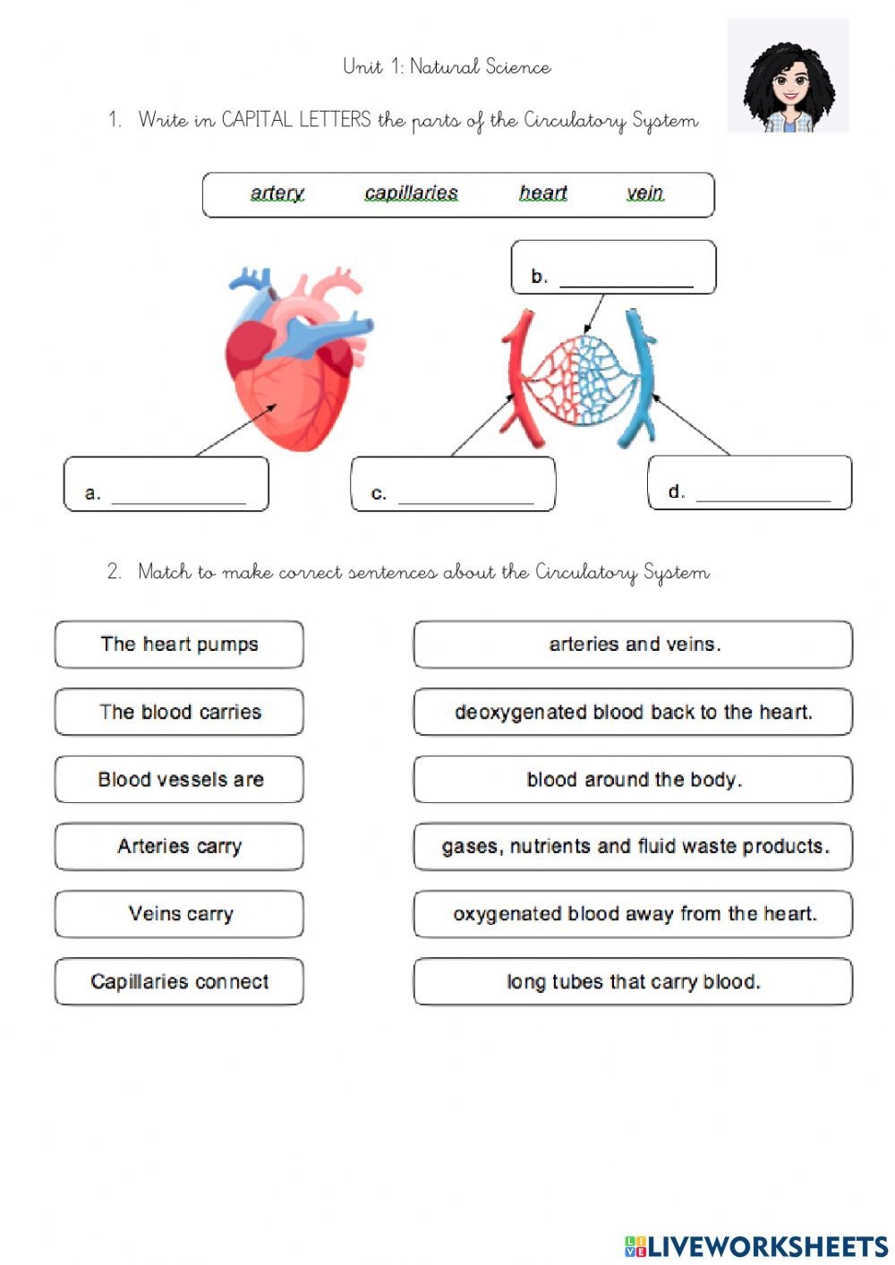 Respiratory System And Circulatory System Online Activity For GRADE 4 
