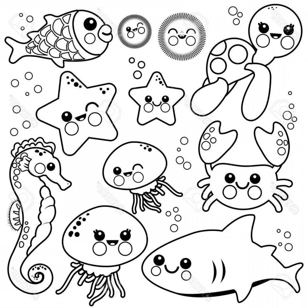 sea creature coloring pages free